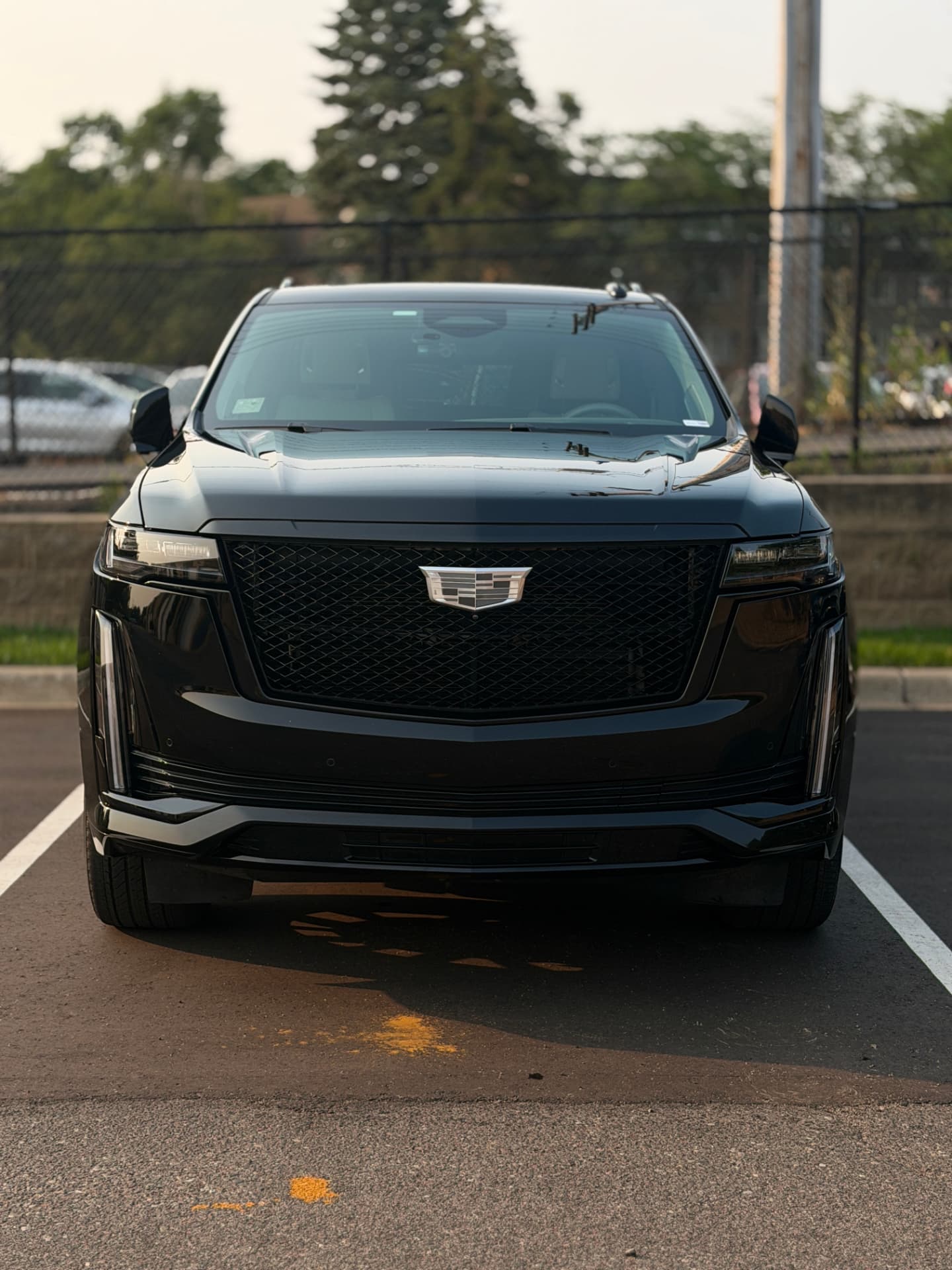 Black Cadillac Escalade with a glossy ceramic coated finish